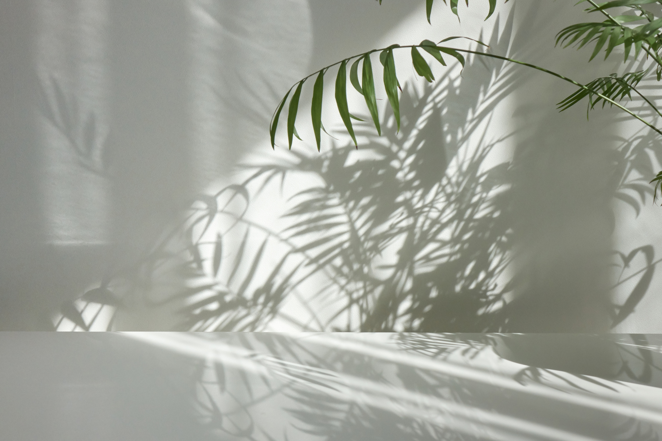 Green Houseplants in White Room